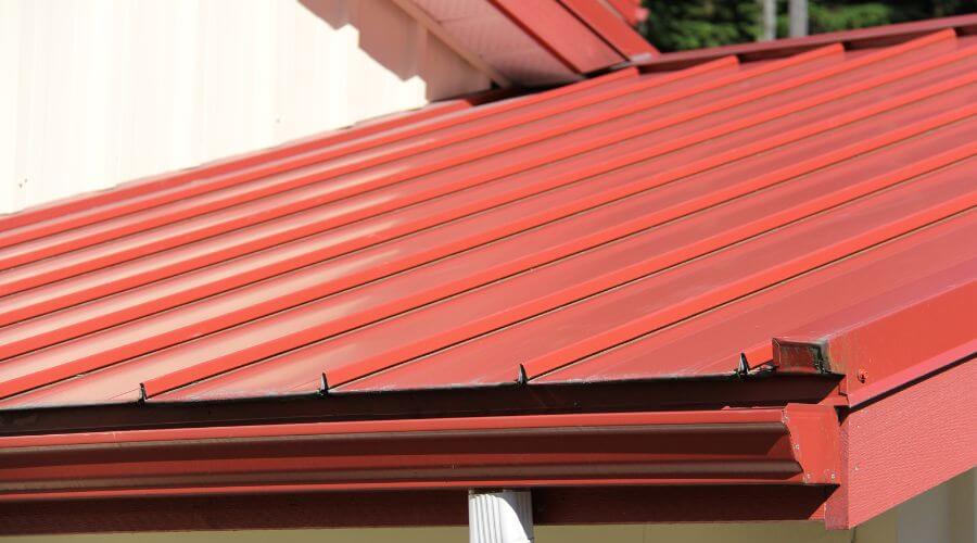 Professional gutter cleaning in Georgia